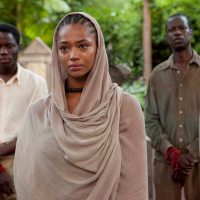 Palmeras_en_la nieve (2)