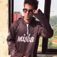 Ritvik Arora15
