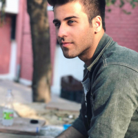 Ritvik Arora5