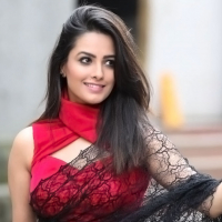 Anita Hassanandani2