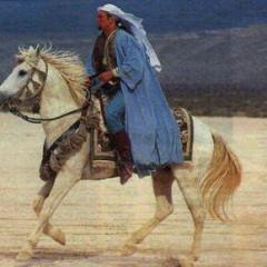 Sheik