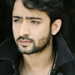 Shaheer Sheikh_6