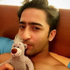 Shaheer Sheikh_8