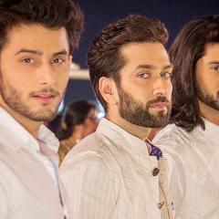 Leenesh_Mattoo_12