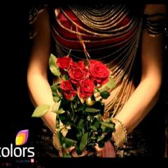 Naagin_12