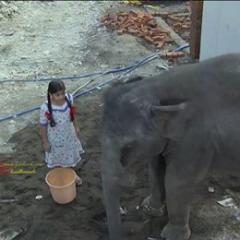 Bandhan_3