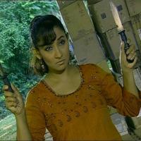 Akela_10