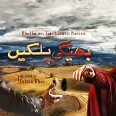 Bheegi_Palkein_14