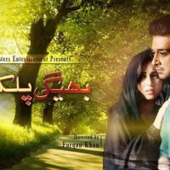 Bheegi_Palkein_15