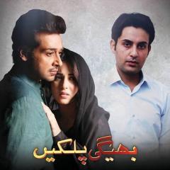 Bheegi_Palkein_16