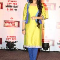 Service Wali Bahu_7