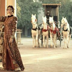 Mor Mahal