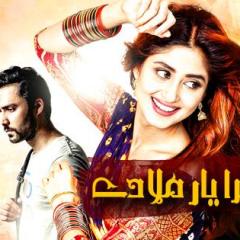 Mera_Yaar_Miladay_19