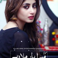 Mera_Yaar_Miladay_5