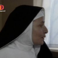 Edera_1