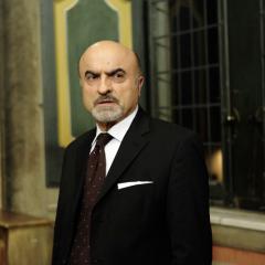 Il bosco