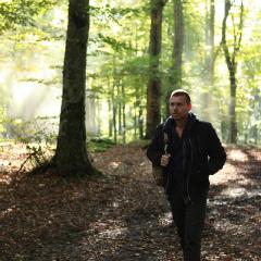 Il bosco