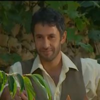 Kınalı Kar_3