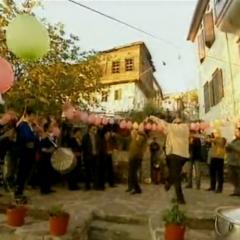 Zeytin_dali_5