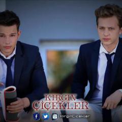 Kirgin_Cicekler_20