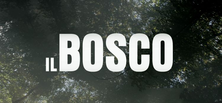 Лес / Il bosco Все серии (Италия, 2015) итальянский сериал на русском языке