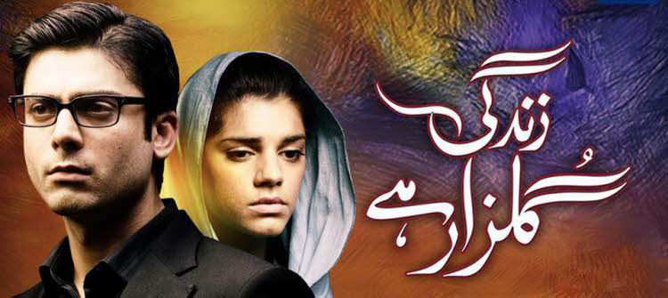 Жизнь - цветущий сад / Zindagi Gulzar Hai Все серии: 1-26 серия (Пакистан, 2013) пакистанский сериал на русском языке