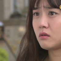 Cheongdam dog Alice (4)