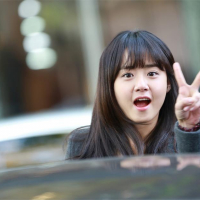 Cheongdam dog Alice (6)