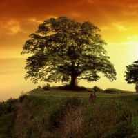 The Great Seer  (3)