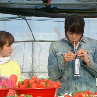 The Rooftop Prince (8)