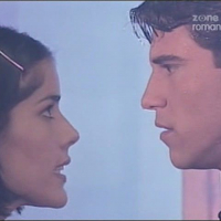 Girasoles para Lucia8