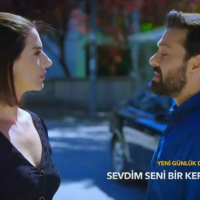 Sevdim Seni Bir Kere4