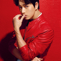 Park Hae Jin (16)