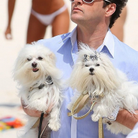 Marcelo Serrado (13)