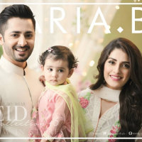 Danish Taimoor15