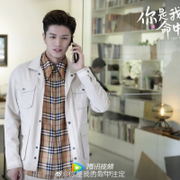 You Are My Destiny (3)