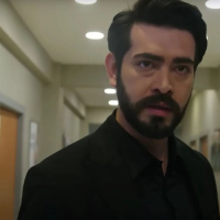 Кровавые цветы актеры фото турецкий сериал Кровавые цветы Все серии (Турция, 2022) турецкий сериал на русском языке