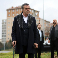 Aile6