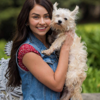 Los ricos también lloran4