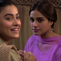 Ranjha Ranjha Kardi10