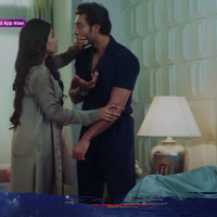 Mil Ke Bhi Hum Na Mile6