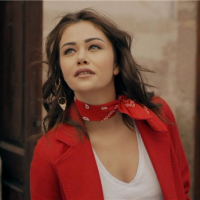 Kirlangic_Firtinasi (10)