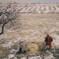 Kirlangic_Firtinasi (2)