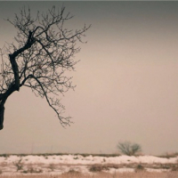 Kirlangic_Firtinasi (8)