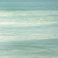 L'ombra del destino4